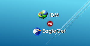 IDM vs EagleGEt